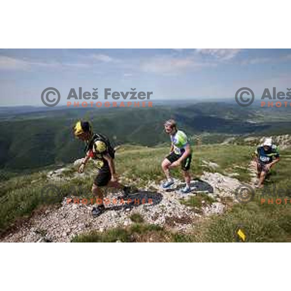 First edition of 100 km Ultra trail Vipava Valley with more than 400 runners at 25 km, 50 km and 100 km distance with spectacular 360 degrees view over Vipava Valley on May 9, 2015