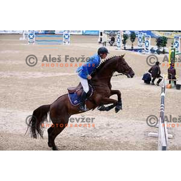 Urh Bauman of Slovenia during FEI CSIO *3 Nations Cup Equestrian competition in Celje, Slovenia on May 15, 2015