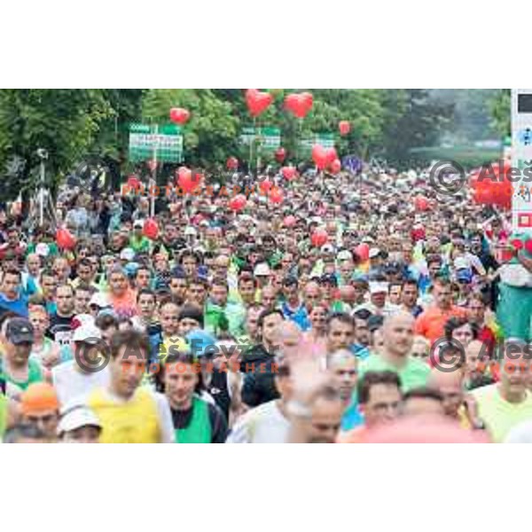 Runners on 35. Maraton treh src in Radenci, Slovenia on 16th of May, 2015