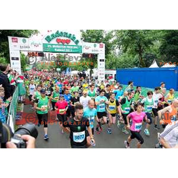 Runners of 5.5km and 10km run on 35. Maraton treh src in Radenci, Slovenia on 16th of May, 2015