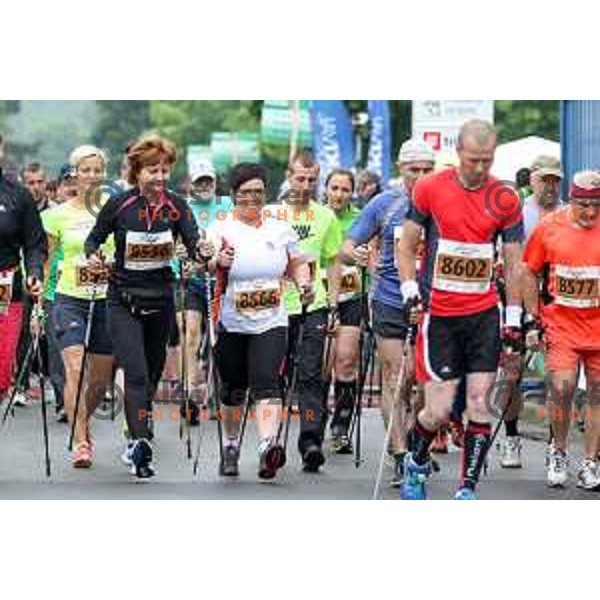 Nordic Walkers on 35. Maraton treh src in Radenci, Slovenia on 16th of May, 2015
