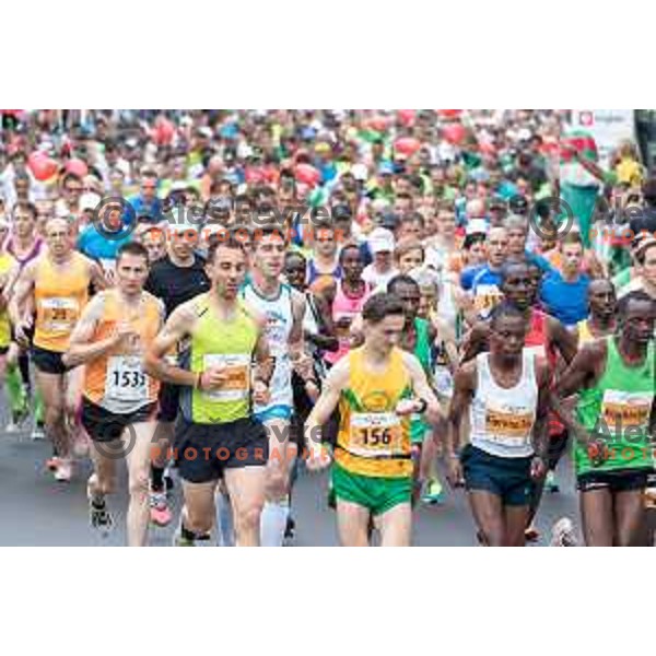 Runners on 21km and 42km run on 35. Maraton treh src in Radenci, Slovenia on 16th of May, 2015