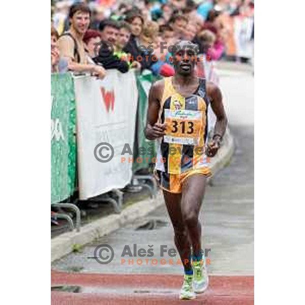 David Njagi (KEN) 2nd place of 42km run on 35. Maraton treh src in Radenci, Slovenia on 16th of May, 2015