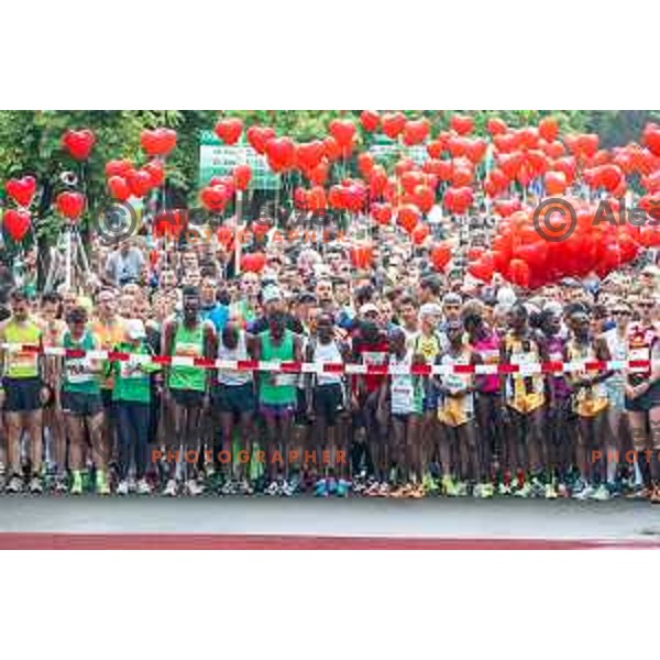 Preparation for 21km & 42km run on 35. Maraton treh src in Radenci, Slovenia on 16th of May, 2015
