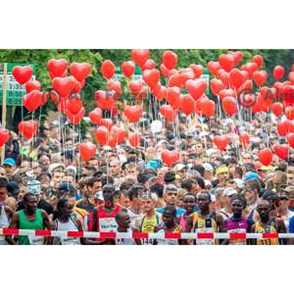 Preparation for 21km & 42km run on 35. Maraton treh src in Radenci, Slovenia on 16th of May, 2015