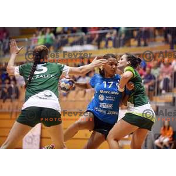 Players of Krim Mercator celebrating victory in Slovenian women\'s handball Cup beating team Zelene Doline Zalec in the Final in Kocevje on May 17, 2015