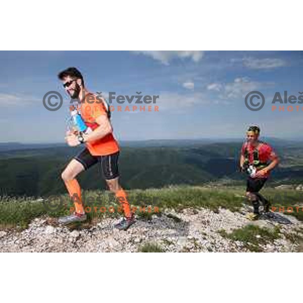 Urus Bitenc running at first edition of 100 km Ultra trail Vipava Valley with more than 400 runners at 25 km, 50 km and 100 km distance with spectacular 360 degrees view over Vipava Valley on May 9, 2015
