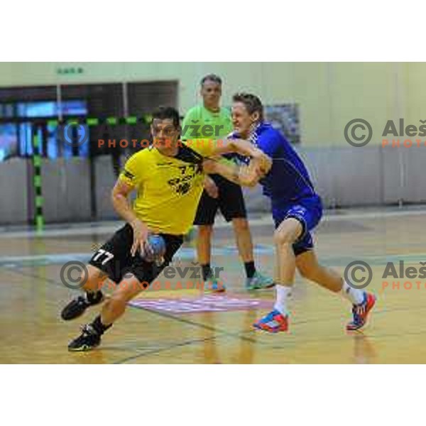 action during Final of 1.NLB leasing league between Gorenje Velenje and Celje Pivovarna Lasko in Red Hall, Velenje, Slovenija on May 26, 2015