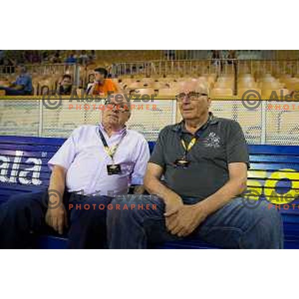 During All Legends charity match for association Olimpik between Slovenian sports legends, played in Tivoli Hall, Ljubljana, Slovenia, on June 9th, 2015.