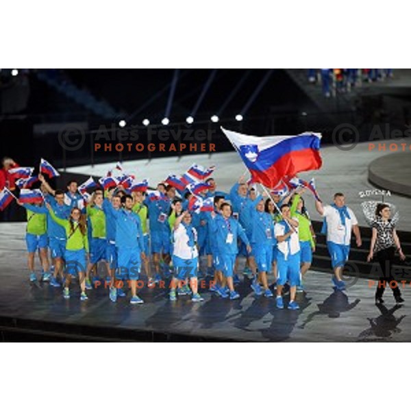 Flag bearer Bojan Tokic and team Slovenia during Opening Ceremony of First European Games at Olympic Stadium in Baku, Azerbaijan on June 12, 2015