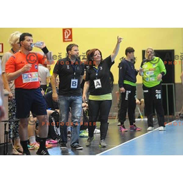 f Slovenia in action during qualifying handball match for World Championships between Slovenia and France in Velenje, Slovenia on June 13, 2015