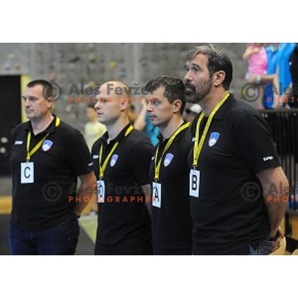 of Slovenia in action during qualifying handball match for European Championships between Slovenia and Latvia in Velenje, Slovenia on June 13, 2015