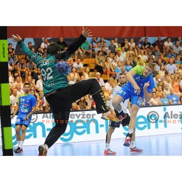 of Slovenia in action during qualifying handball match for European Championships between Slovenia and Latvia in Velenje, Slovenia on June 13, 2015