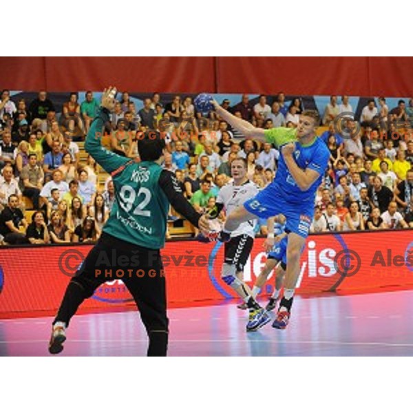 of Slovenia in action during qualifying handball match for European Championships between Slovenia and Latvia in Velenje, Slovenia on June 13, 2015