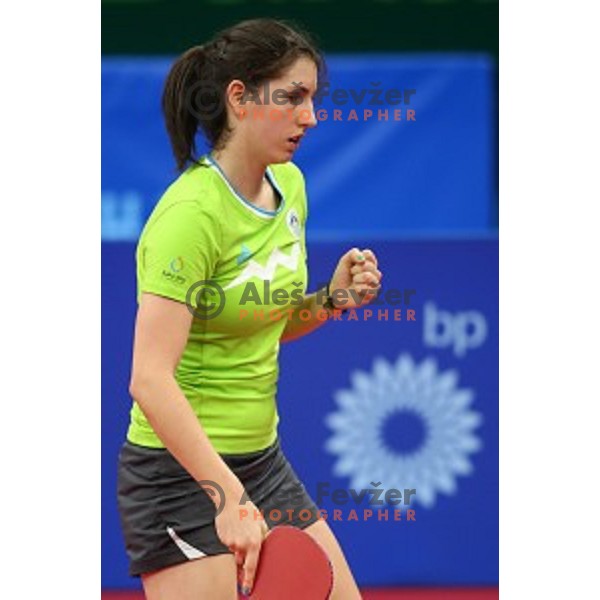 Alex Galic of Slovenia in first round action at table tournament in Baku Sports Hall during Baku 2015 First European Games, Azerbaijan on June 16, 2015