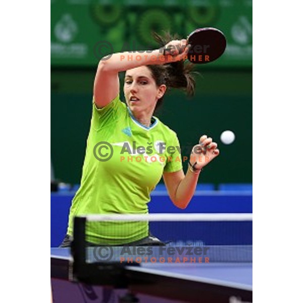Alex Galic of Slovenia in first round action at table tournament in Baku Sports Hall during Baku 2015 First European Games, Azerbaijan on June 16, 2015