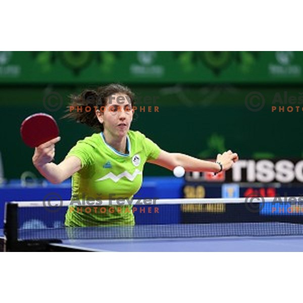 Alex Galic of Slovenia in first round action at table tournament in Baku Sports Hall during Baku 2015 First European Games, Azerbaijan on June 16, 2015