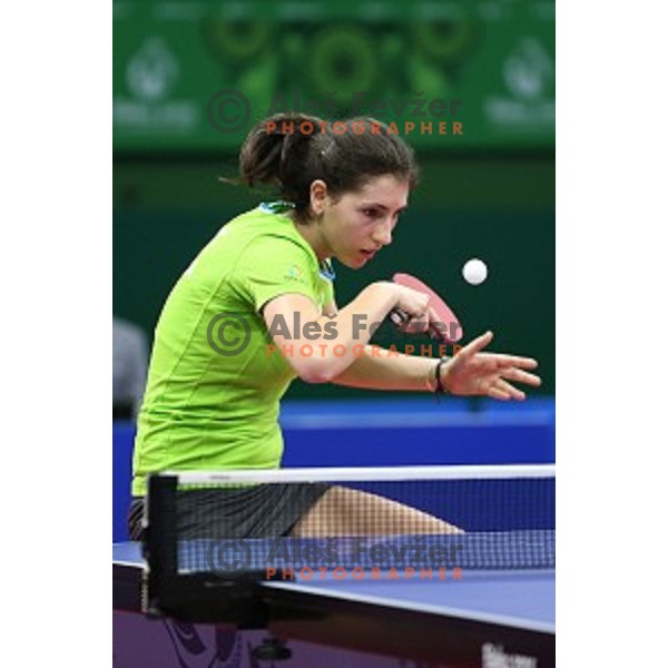 Alex Galic of Slovenia in first round action at table tournament in Baku Sports Hall during Baku 2015 First European Games, Azerbaijan on June 16, 2015
