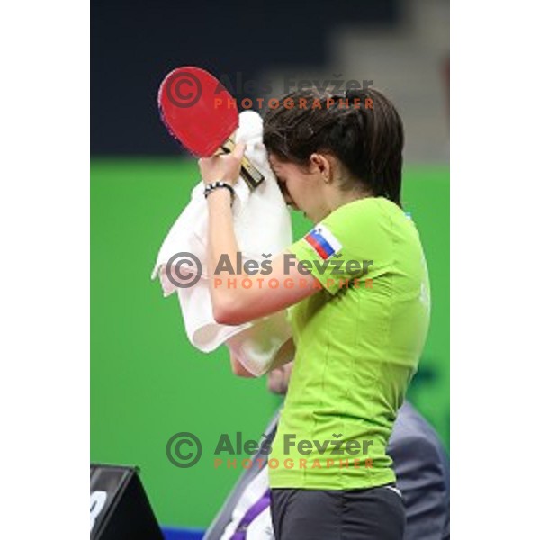 Alex Galic of Slovenia in first round action at table tournament in Baku Sports Hall during Baku 2015 First European Games, Azerbaijan on June 16, 2015