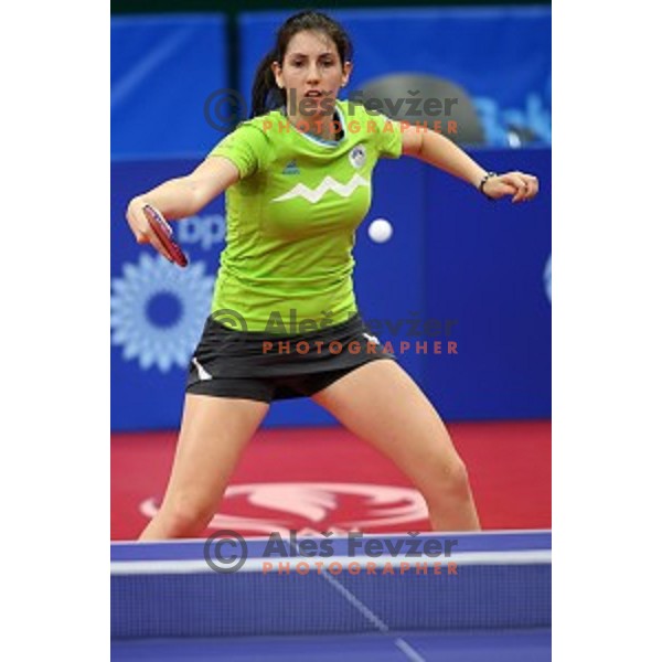 Alex Galic of Slovenia in first round action at table tournament in Baku Sports Hall during Baku 2015 First European Games, Azerbaijan on June 16, 2015