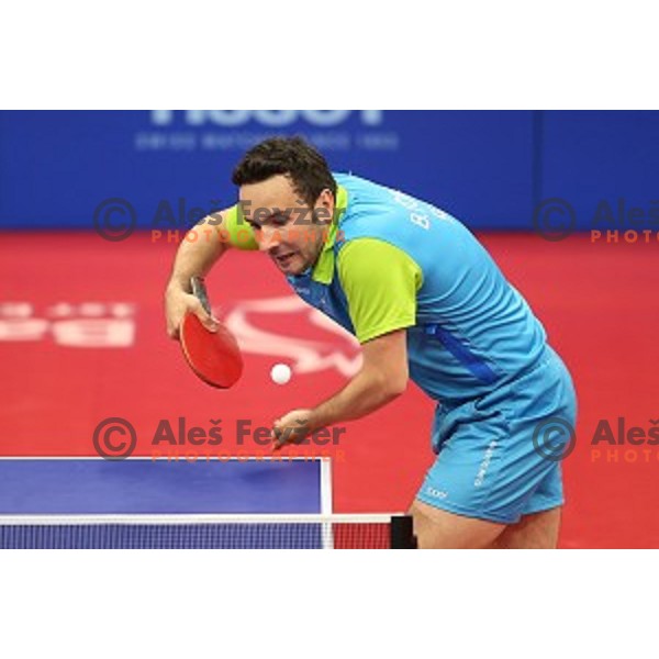 Bojan Tokic of Slovenia in first round action at table tournament in Baku Sports Hall during Baku 2015 First European Games, Azerbaijan on June 16, 2015