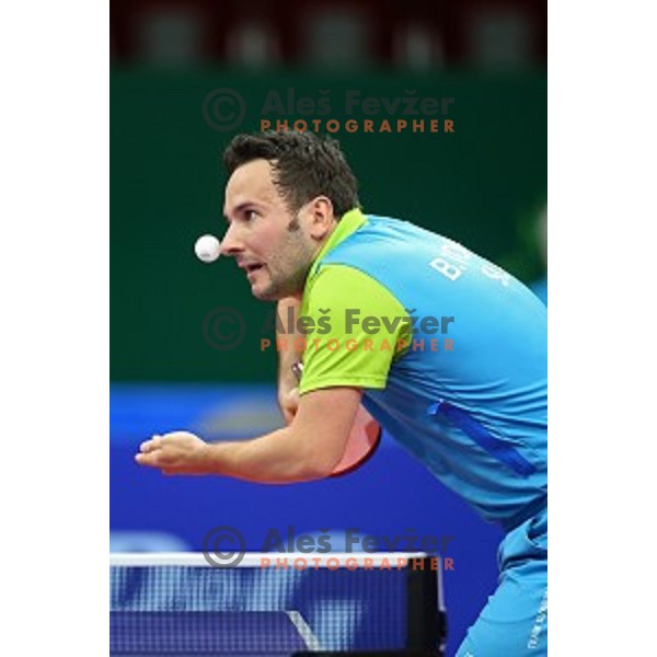 Bojan Tokic of Slovenia in first round action at table tournament in Baku Sports Hall during Baku 2015 First European Games, Azerbaijan on June 16, 2015