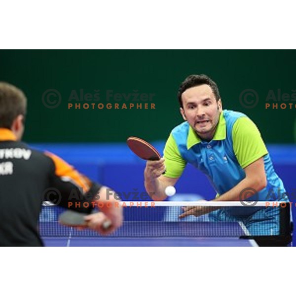 Bojan Tokic of Slovenia in first round action at table tournament in Baku Sports Hall during Baku 2015 First European Games, Azerbaijan on June 16, 2015