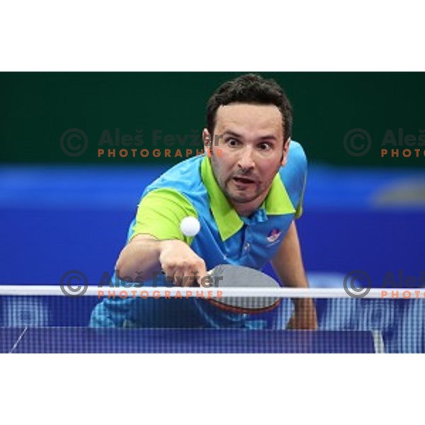 Bojan Tokic of Slovenia in first round action at table tournament in Baku Sports Hall during Baku 2015 First European Games, Azerbaijan on June 16, 2015