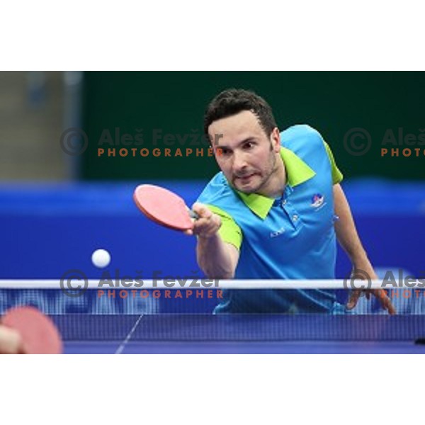 Bojan Tokic of Slovenia in first round action at table tournament in Baku Sports Hall during Baku 2015 First European Games, Azerbaijan on June 16, 2015