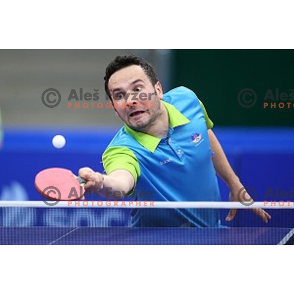 Bojan Tokic of Slovenia in first round action at table tournament in Baku Sports Hall during Baku 2015 First European Games, Azerbaijan on June 16, 2015