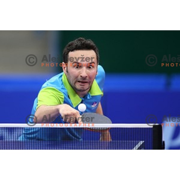 Bojan Tokic of Slovenia in first round action at table tournament in Baku Sports Hall during Baku 2015 First European Games, Azerbaijan on June 16, 2015