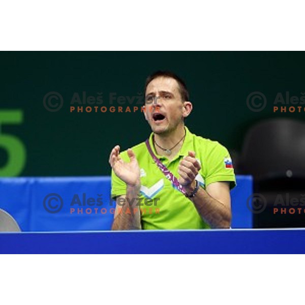 Coach Bojan Rak of Slovenia in third round action at table tournament in Baku Sports Hall during Baku 2015 First European Games, Azerbaijan on June 18, 2015