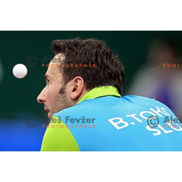 Bojan Tokic of Slovenia in third round action at table tournament in Baku Sports Hall during Baku 2015 First European Games, Azerbaijan on June 18, 2015