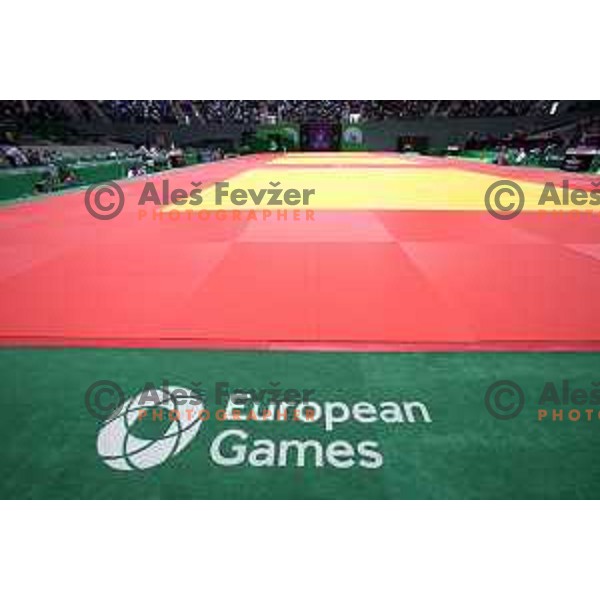 Gasper Jerman of Slovenia competes in Men\'s -81 kg at Judo Tournament in Heydar Aliyev Arena at First European Games Baku 2015 in European Games Park, Azerbaijan on June 26, 2015
