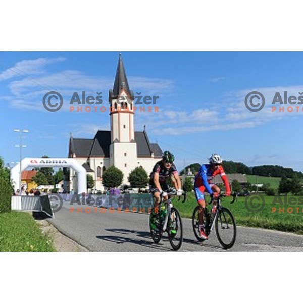 Slovenian National Cycling Championships in Mirna pec on June 29, 2015