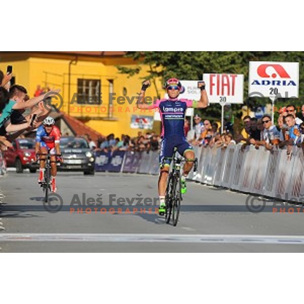 Luka Pibernik of Lampre Merida, winner of Slovenian National Cycling Championships in Mirna pec on June 29, 2015