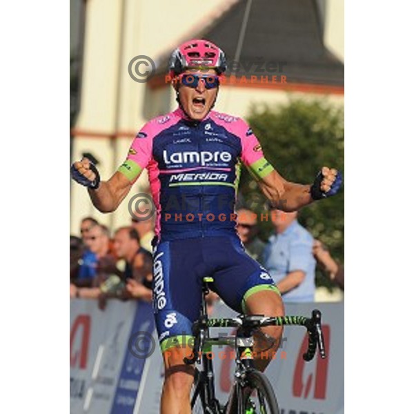 Luka Pibernik of Lampre Merida, winner of Slovenian National Cycling Championships in Mirna pec on June 29, 2015