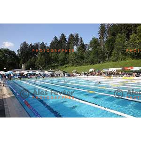 International Swimming meeting Telekom Slovenije 2015 in Radovljica on July 18, 2015