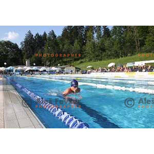 International Swimming meeting Telekom Slovenije 2015 in Radovljica on July 18, 2015