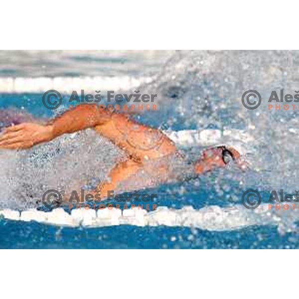 Zan Pogacar during International Swimming meeting Telekom Slovenije 2015 in Radovljica on July 18, 2015