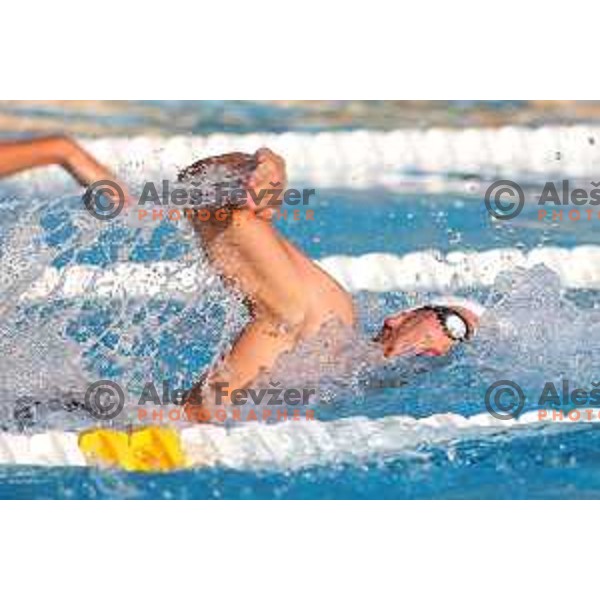 Zan Pogacar during International Swimming meeting Telekom Slovenije 2015 in Radovljica on July 18, 2015