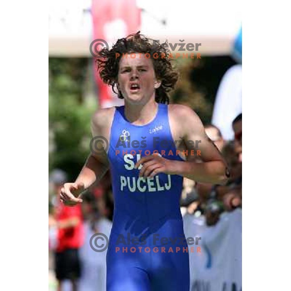 Pucelj (SLO) 