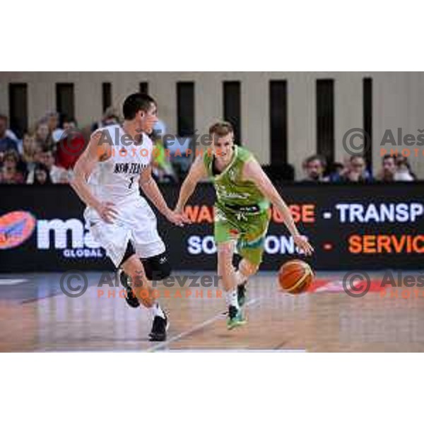 Luka Rupnik of Slovenia in action during friendly basketball match Slovenia - New Zealand in preparation for EuroBasket 2015, played in Kidričevo, Slovenia on July 30, 2015