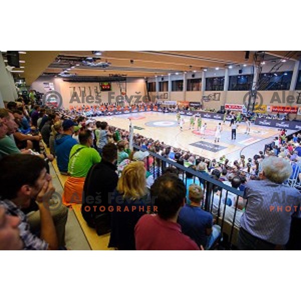 of Slovenia in action during friendly basketball match Slovenia - New Zealand in preparation for EuroBasket 2015, played in Kidričevo, Slovenia on July 30, 2015