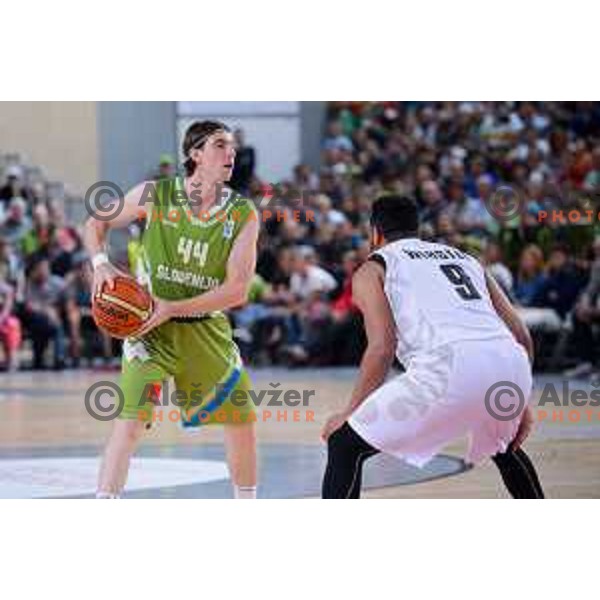 of Slovenia in action during friendly basketball match Slovenia - New Zealand in preparation for EuroBasket 2015, played in Kidričevo, Slovenia on July 30, 2015