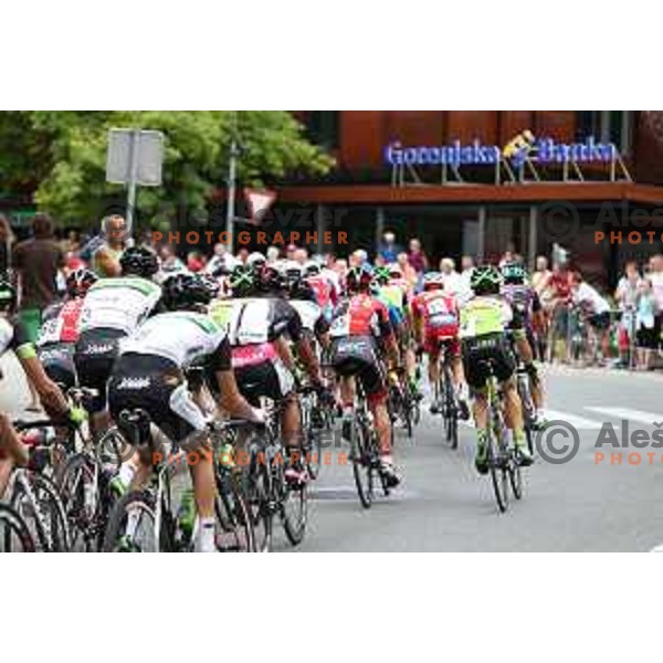 Cycling Grand Prix "Filip Majcen" in Kranj, Slovenia on August 2, 2015