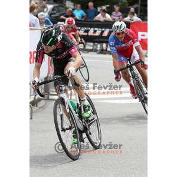 Izidor Penko at Cycling Grand Prix Memorial Filip Majcen in Kranj, Slovenia on August 2, 2015