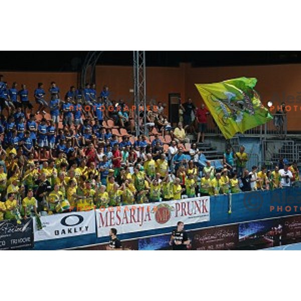 action during Slovenian Super Cup handball match between Celje Pivovarna Lasko and Gorenje Velenje at SRC Marina, Portoroz on August 29, 2015