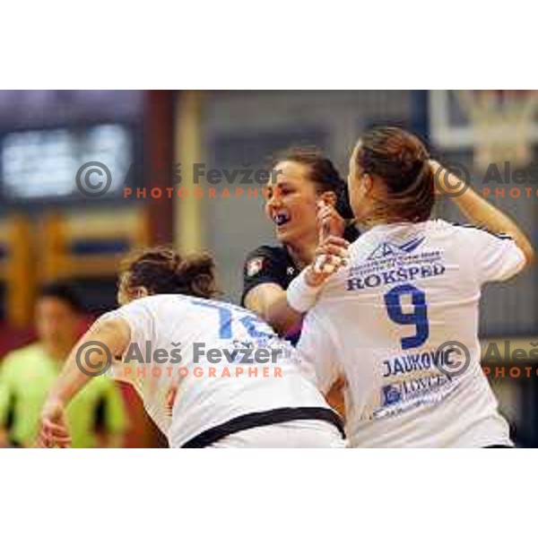 Milanovic Litre of RK Krim Mercator during handball match Krim Mercator (SLO)-Buducnost (MNE) at Vinko Kandija Memorial Tournament in Galjevica Hall, Ljubljana on September 5, 2015