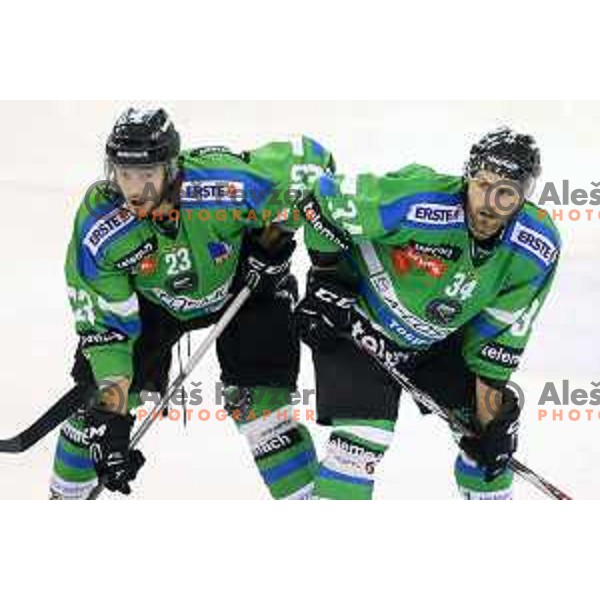 of Telemach Olimpija in action during ice-hockey match Telemach Olimpija-TWK Innsbruck in first round of EBEL league 2015/2016 in Hala Tivoli, Ljubljana, Slovenia on September 12, 2015